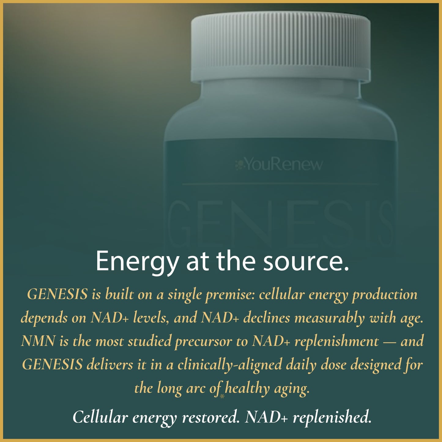 GENESIS — NMN Longevity & Cellular Energy Complex