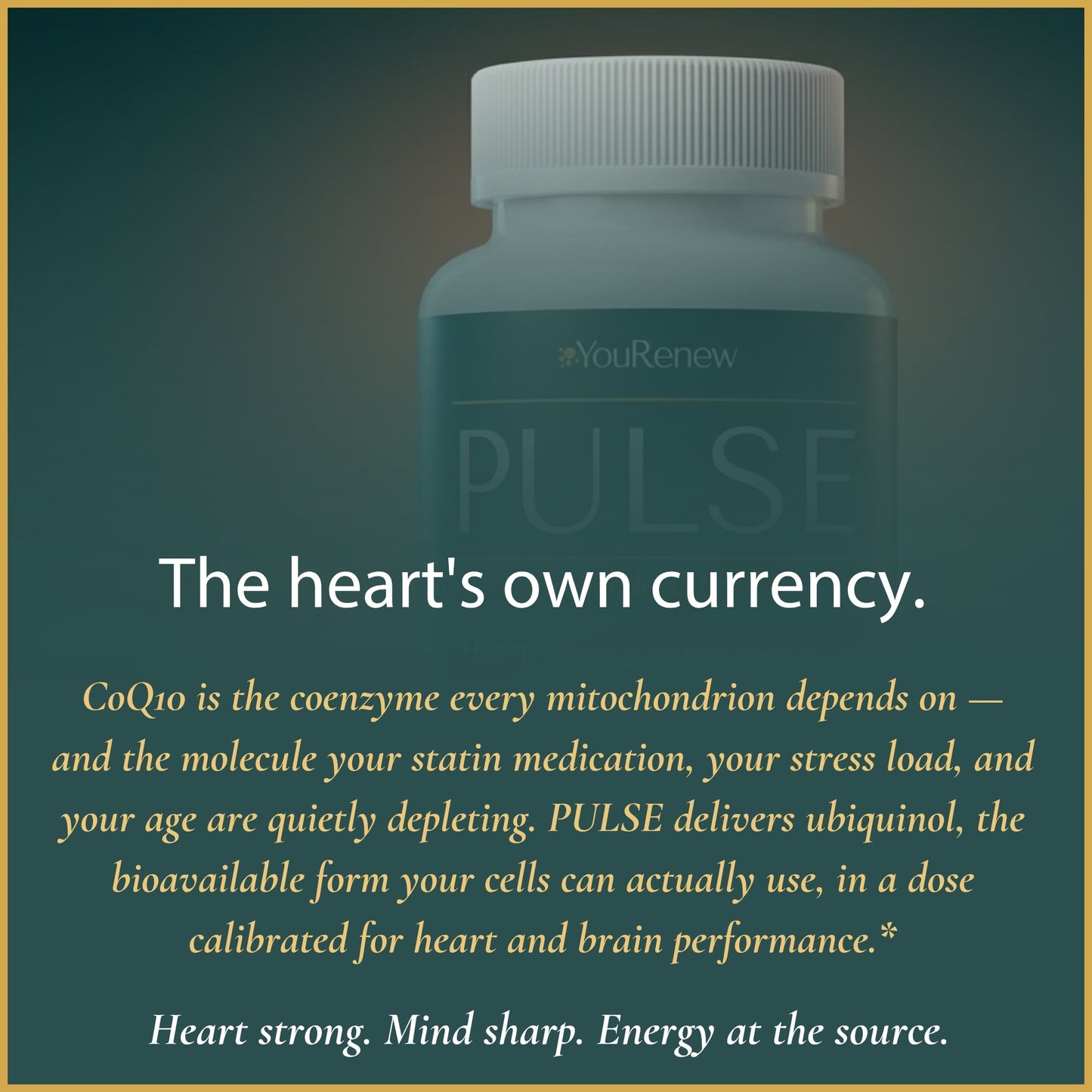 PULSE — CoQ10 Mitochondrial Energy Complex