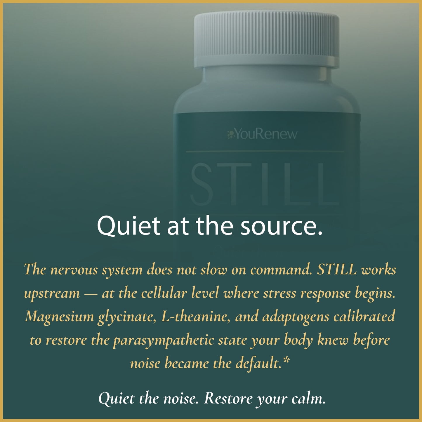 STILL — Stress & Nervous System Complex