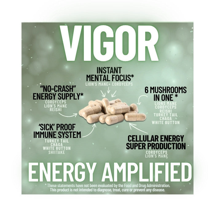 VIGOR: Premium Mushroom Complex