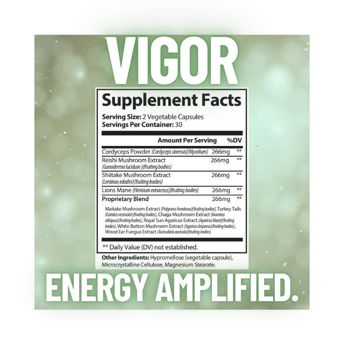 VIGOR: Premium Mushroom Complex
