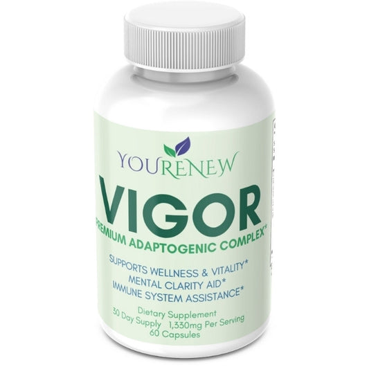 VIGOR: Premium Mushroom Complex