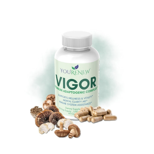 VIGOR: Premium Mushroom Complex