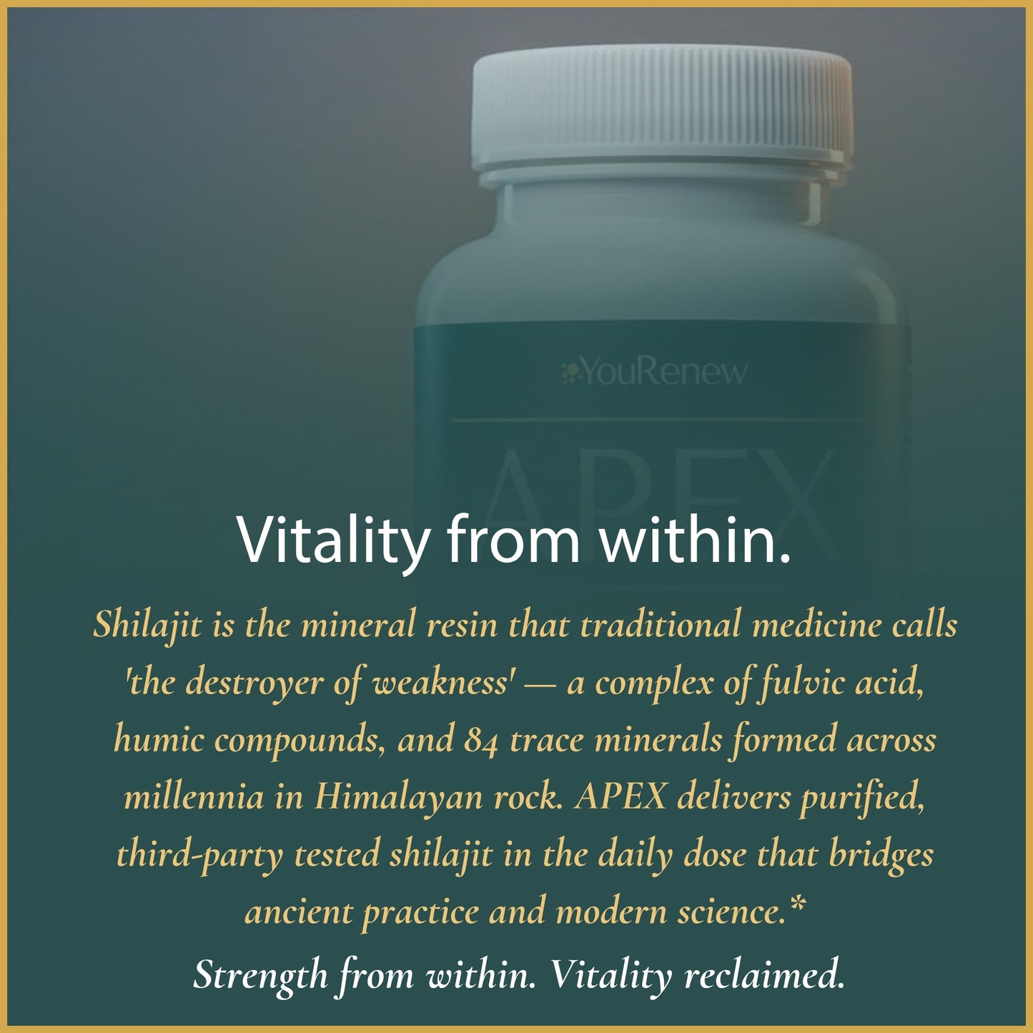 APEX — Premium Shilajit & Fulvic Acid Complex