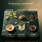 GENESIS — NMN Longevity & Cellular Energy Complex