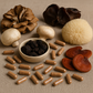 VIGOR: Premium Mushroom Complex